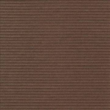 Savoir Faire Latte by Kasmir Fabric 1415 65% Cotton 35% Polyester INDIA 13,000 Martindale Cycles H: N/A, V: N/A 55 - Fabric Carolina - Kasmir