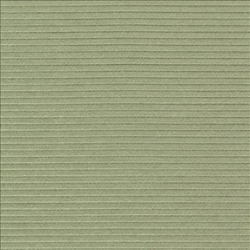 Savoir Faire Pear by Kasmir Fabric 1415 65% Cotton 35% Polyester INDIA 13,000 Martindale Cycles H: N/A, V: N/A 55 - Fabric Carolina - Kasmir