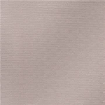 Savoir Faire Putty by Kasmir Fabric 1415 65% Cotton 35% Polyester INDIA 13,000 Martindale Cycles H: N/A, V: N/A 55 - Fabric Carolina - Kasmir