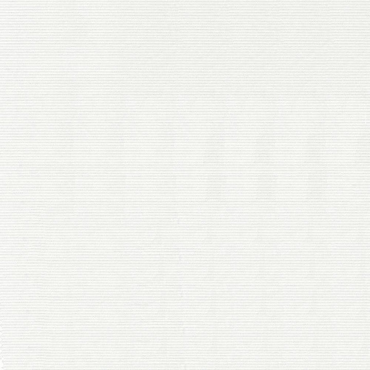 Savoir Faire White by Kasmir Fabric 1427 INDIA 13,000 Martindale Cycles H: N/A, V:N/A 55 - Fabric Carolina - Kasmir