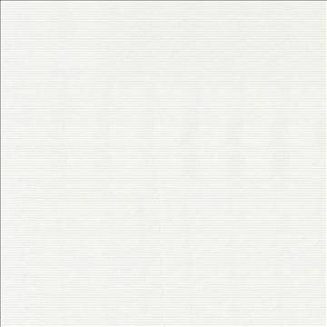 Savoir Faire White by Kasmir Fabric 1425 65% Cotton 35% Polyester INDIA 13,000 Martindale Cycles H: N/A, V: N/A 55 - Fabric Carolina - Kasmir