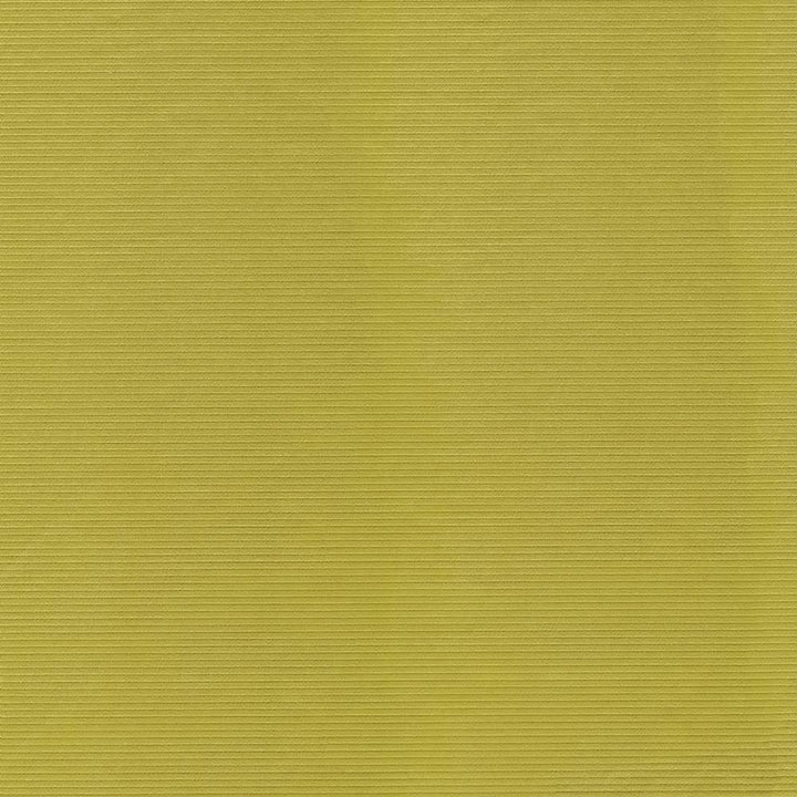 Savoir Faire Zest by Kasmir Fabric 1425 65% Cotton
35% Polyester
 INDIA 13,000 Martindale Cycles </p><p>Repeat: Horizontal: N/A and Vertical: N/A 55 - Fabric Carolina -