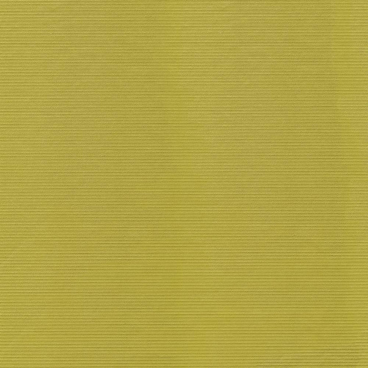 Savoir Faire Zest by Kasmir Fabric 1415 INDIA 13,000 Martindale Cycles H: N/A, V:N/A 55 - Fabric Carolina - Kasmir