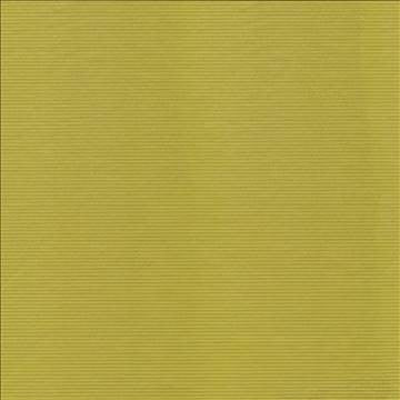Savoir Faire Zest by Kasmir Fabric 1415 65% Cotton 35% Polyester INDIA 13,000 Martindale Cycles H: N/A, V: N/A 55 - Fabric Carolina - Kasmir