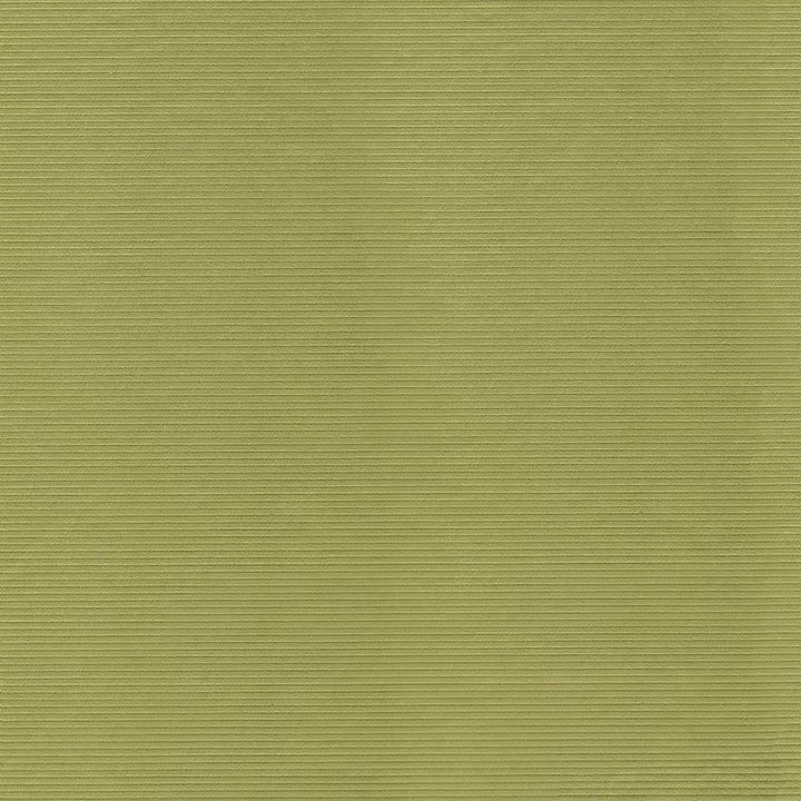 Savoir Faire Apple by Kasmir Fabric 1415 65% Cotton
35% Polyester
 INDIA </p><p>Repeat: Horizontal: N/A and Vertical: N/A 55 - Fabric Carolina -
