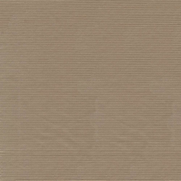 Savoir Faire Driftwood by Kasmir Fabric 1427 65% Cotton
35% Polyester
 INDIA </p><p>Repeat: Horizontal: N/A and Vertical: N/A 55 - Fabric Carolina -
