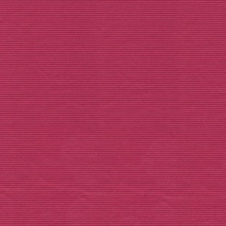 Savoir Faire Fucshia by Kasmir Fabric 1427 65% Cotton
35% Polyester
 INDIA </p><p>Repeat: Horizontal: N/A and Vertical: N/A 55 - Fabric Carolina -