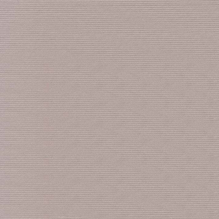 Savoir Faire Putty by Kasmir Fabric 1415 65% Cotton
35% Polyester
 INDIA </p><p>Repeat: Horizontal: N/A and Vertical: N/A 55 - Fabric Carolina -