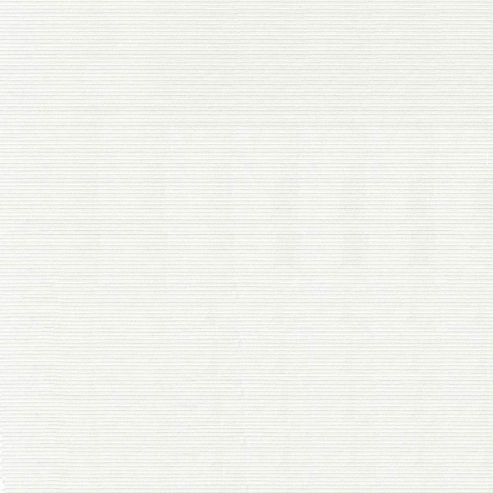 Savoir Faire White by Kasmir Fabric 1427 65% Cotton
35% Polyester
 INDIA </p><p>Repeat: Horizontal: N/A and Vertical: N/A 55 - Fabric Carolina -