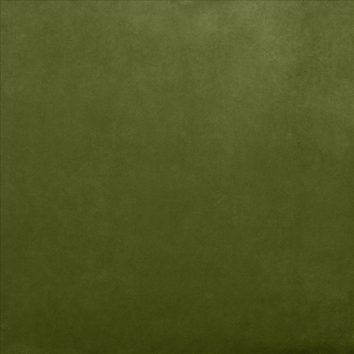 Savor Basil by Kasmir Fabric 5151 100% Polyester
 CHINA </p><p>Repeat: Horizontal: N/A and Vertical: N/A 58 - Fabric Carolina -