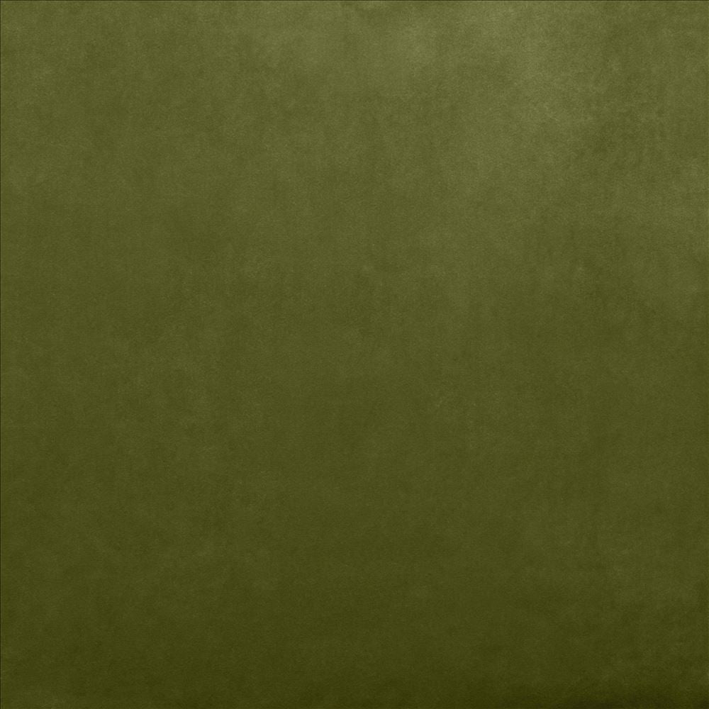 Savor Basil by Kasmir Fabric 5151 100% Polyester
 CHINA 100,000 Wyzenbeek Double Rubs Horizontal: N/A and Vertical: N/A 58 - Fabric Carolina -