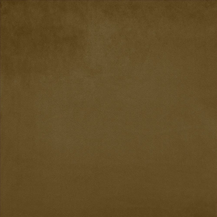 Savor Latte by Kasmir Fabric 5151 100% Polyester
 CHINA 100,000 Wyzenbeek Double Rubs Horizontal: N/A and Vertical: N/A 58 - Fabric Carolina -