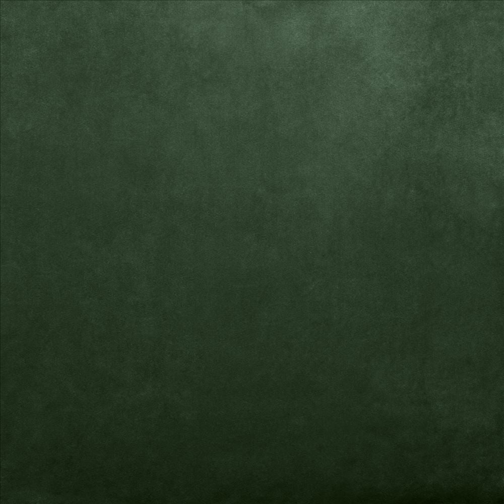 Savor Moss by Kasmir Fabric 5151 100% Polyester
 CHINA </p><p>Repeat: Horizontal: N/A and Vertical: N/A 58 - Fabric Carolina -