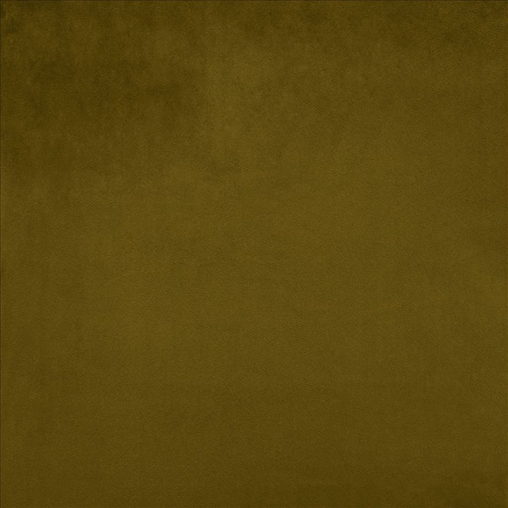 Savor Olive by Kasmir Fabric 5151 100% Polyester
 CHINA 100,000 Wyzenbeek Double Rubs </p><p>Repeat: Horizontal: N/A and Vertical: N/A 58 - Fabric Carolina -