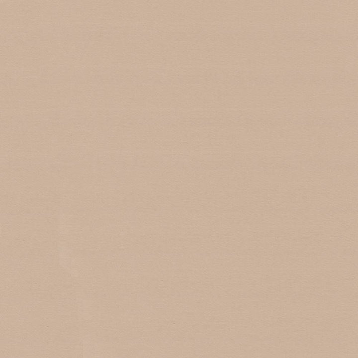 Savvy Buff by Kasmir Fabric 5022 INDIA 10,000 Wyzenbeek Double Rubs H: N/A, V:N/A 54 - 55 - Fabric Carolina - Kasmir