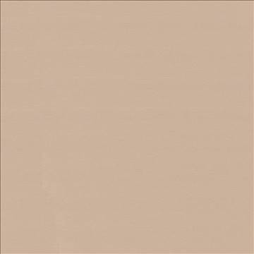 Savvy Buff by Kasmir Fabric 5022 100% Cotton INDIA 10,000 Wyzenbeek Double Rubs H: N/A, V: N/A 54 - 55 - Fabric Carolina - Kasmir