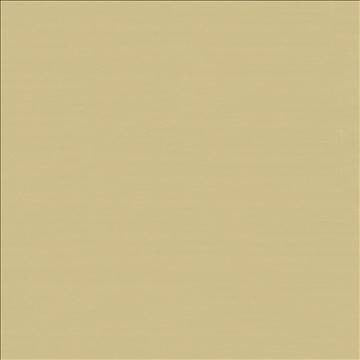Savvy Butter by Kasmir Fabric 5022 100% Cotton INDIA 10,000 Wyzenbeek Double Rubs H: N/A, V: N/A 54 - 55 - Fabric Carolina - Kasmir