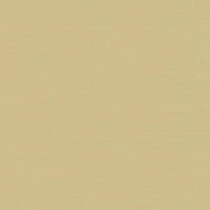 Savvy Butter by Kasmir Fabric 5022 INDIA 10,000 Wyzenbeek Double Rubs H: N/A, V:N/A 54 - 55 - Fabric Carolina - Kasmir