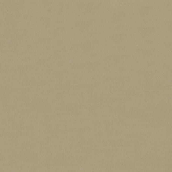 Savvy Canvas by Kasmir Fabric 5022 100% Cotton INDIA 10,000 Wyzenbeek Double Rubs Horizontal: 0 Inches and Vertical: 0 Inches 54 - 55 - Fabric Carolina -