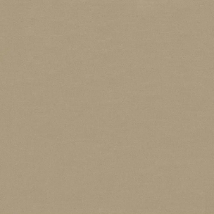 Savvy Canvas by Kasmir Fabric 5022 INDIA 10,000 Wyzenbeek Double Rubs H: N/A, V:N/A 54 - 55 - Fabric Carolina - Kasmir