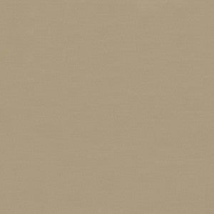 Savvy Canvas by Kasmir Fabric