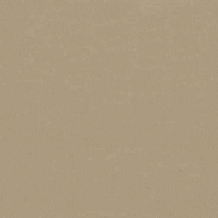 Savvy Canvas by Kasmir Fabric 5022 100% Cotton
 INDIA </p><p>Repeat: Horizontal: N/A and Vertical: N/A 54 - 55 - Fabric Carolina -