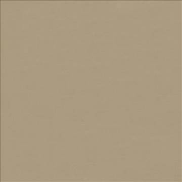 Savvy Canvas by Kasmir Fabric 5022 100% Cotton INDIA 10,000 Wyzenbeek Double Rubs H: N/A, V: N/A 54 - 55 - Fabric Carolina - Kasmir