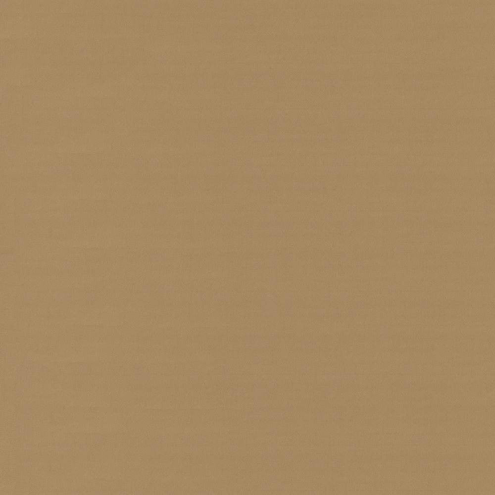 Savvy Caramel by Kasmir Fabric 5022 INDIA 10,000 Wyzenbeek Double Rubs H: N/A, V:N/A 54 - 55 - Fabric Carolina - Kasmir