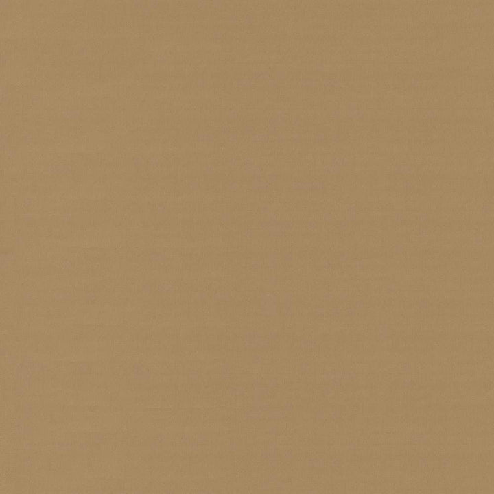 Savvy Caramel by Kasmir Fabric 5022 INDIA 10,000 Wyzenbeek Double Rubs H: N/A, V:N/A 54 - 55 - Fabric Carolina - Kasmir