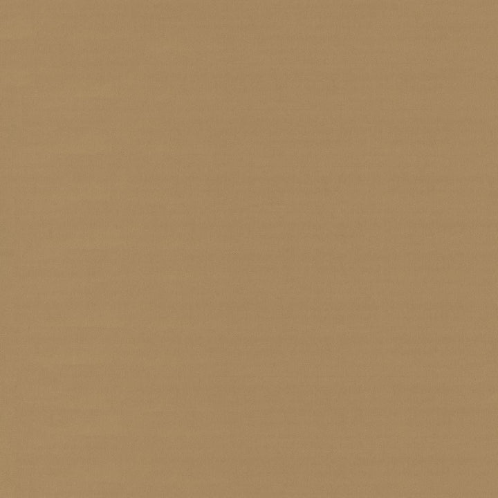 Savvy Caramel by Kasmir Fabric 5022 100% Cotton
 INDIA </p><p>Repeat: Horizontal: N/A and Vertical: N/A 54 - 55 - Fabric Carolina -
