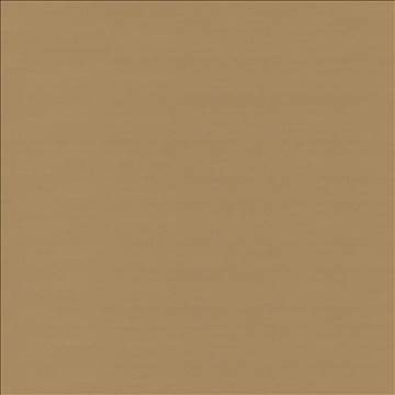Savvy Caramel by Kasmir Fabric 5022 100% Cotton INDIA 10,000 Wyzenbeek Double Rubs H: N/A, V: N/A 54 - 55 - Fabric Carolina - Kasmir