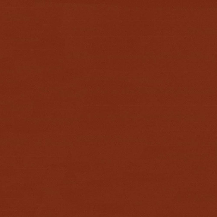 Savvy Clay by Kasmir Fabric 5022 INDIA 10,000 Wyzenbeek Double Rubs H: N/A, V:N/A 54 - 55 - Fabric Carolina - Kasmir