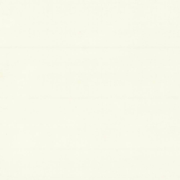 Savvy Cream by Kasmir Fabric 5022 INDIA 10,000 Wyzenbeek Double Rubs H: N/A, V:N/A 54 - 55 - Fabric Carolina - Kasmir