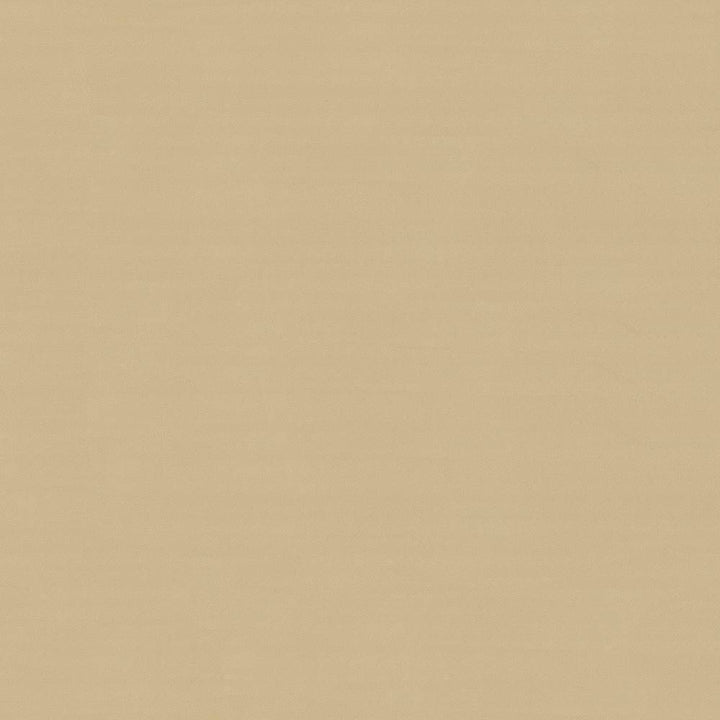 Savvy Honey by Kasmir Fabric 5022 INDIA 10,000 Wyzenbeek Double Rubs H: N/A, V:N/A 54 - 55 - Fabric Carolina - Kasmir