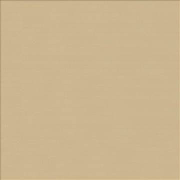 Savvy Honey by Kasmir Fabric 5022 100% Cotton INDIA 10,000 Wyzenbeek Double Rubs H: N/A, V: N/A 54 - 55 - Fabric Carolina - Kasmir