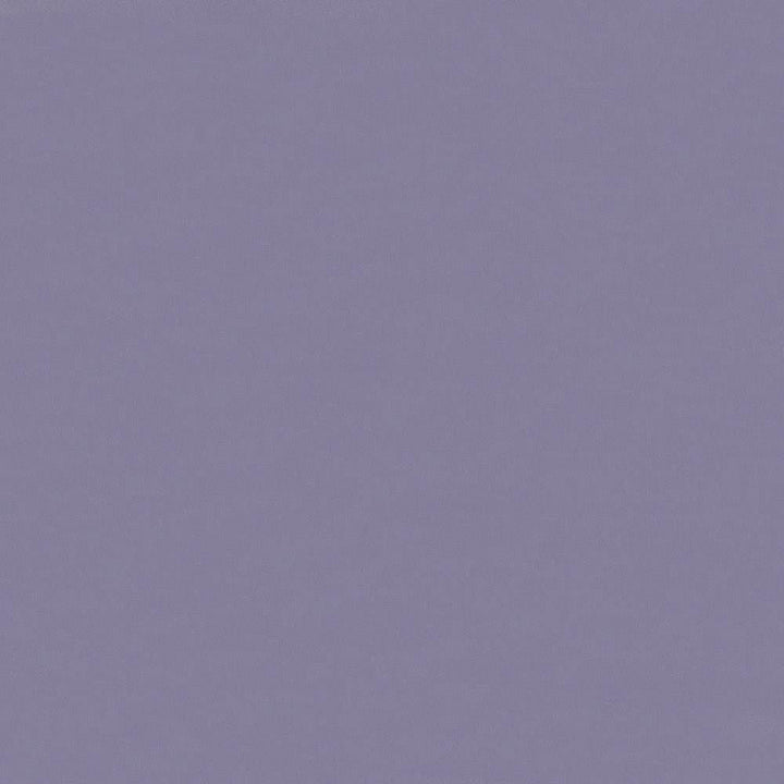 Savvy Lavender by Kasmir Fabric 5022 100% Cotton
 INDIA 10,000 Wyzenbeek Double Rubs </p><p>Repeat: Horizontal: N/A and Vertical: N/A 54 - Fabric Carolina -