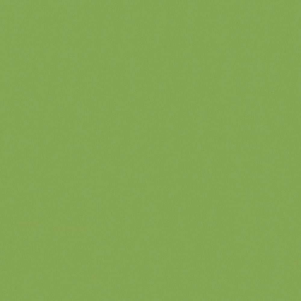 Savvy Leaf  by Kasmir Fabric See sample 100% Cotton
 INDIA 10,000 Wyzenbeek Double Rubs </p><p>Repeat: Horizontal: N/A and Vertical: N/A 54  - Fabric Carolina -