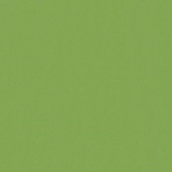 Savvy Leaf  by Kasmir Fabric See sample 100% Cotton
 INDIA 10,000 Wyzenbeek Double Rubs </p><p>Repeat: Horizontal: N/A and Vertical: N/A 54  - Fabric Carolina -