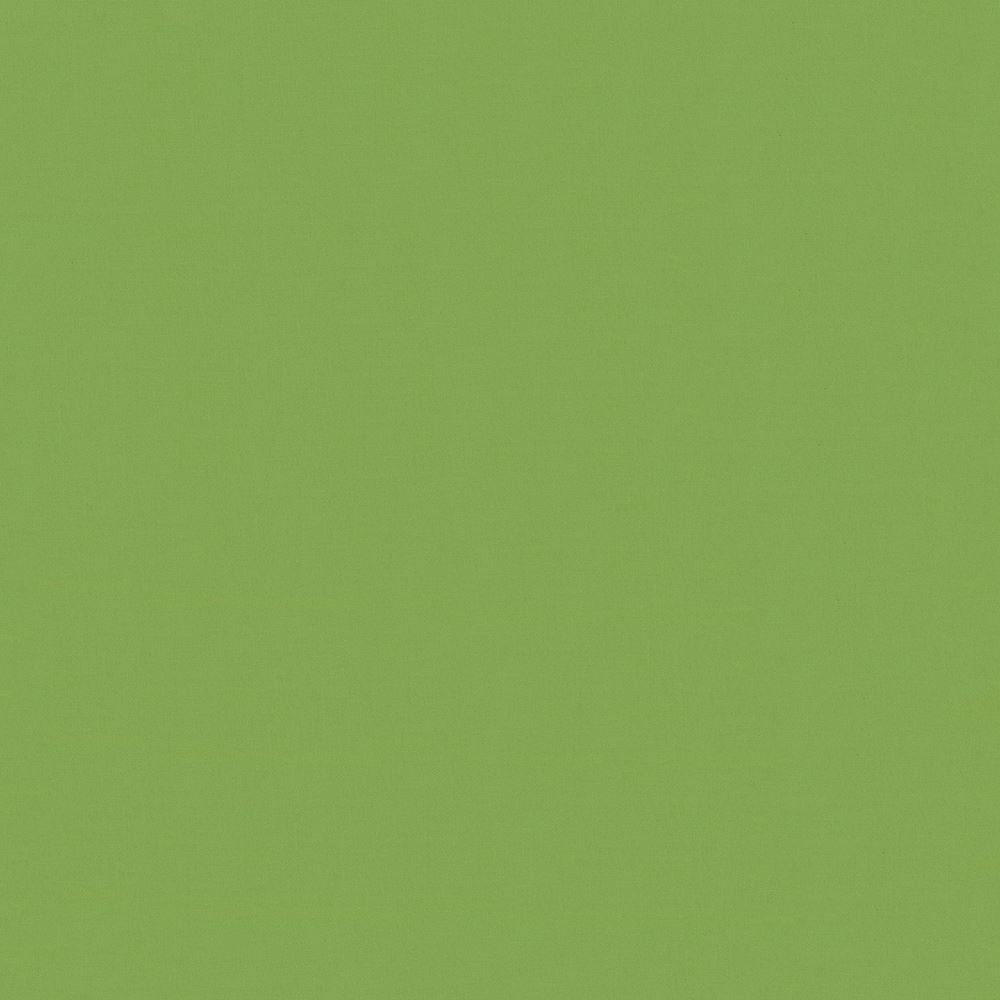 Savvy Leaf by Kasmir Fabric 5022 100% Cotton
 INDIA </p><p>Repeat: Horizontal: N/A and Vertical: N/A 54 - 55 - Fabric Carolina -