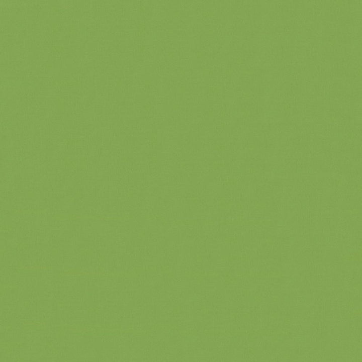 Savvy Leaf by Kasmir Fabric 5022 100% Cotton
 INDIA </p><p>Repeat: Horizontal: N/A and Vertical: N/A 54 - 55 - Fabric Carolina -
