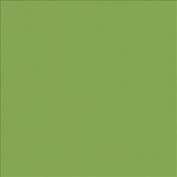 Savvy Leaf by Kasmir Fabric 5022 100% Cotton INDIA 10,000 Wyzenbeek Double Rubs H: N/A, V: N/A 54 - 55 - Fabric Carolina - Kasmir