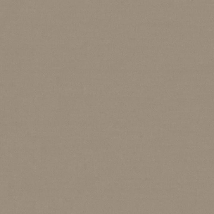 Savvy Linen by Kasmir Fabric 5022 INDIA 10,000 Wyzenbeek Double Rubs H: N/A, V:N/A 54 - 55 - Fabric Carolina - Kasmir