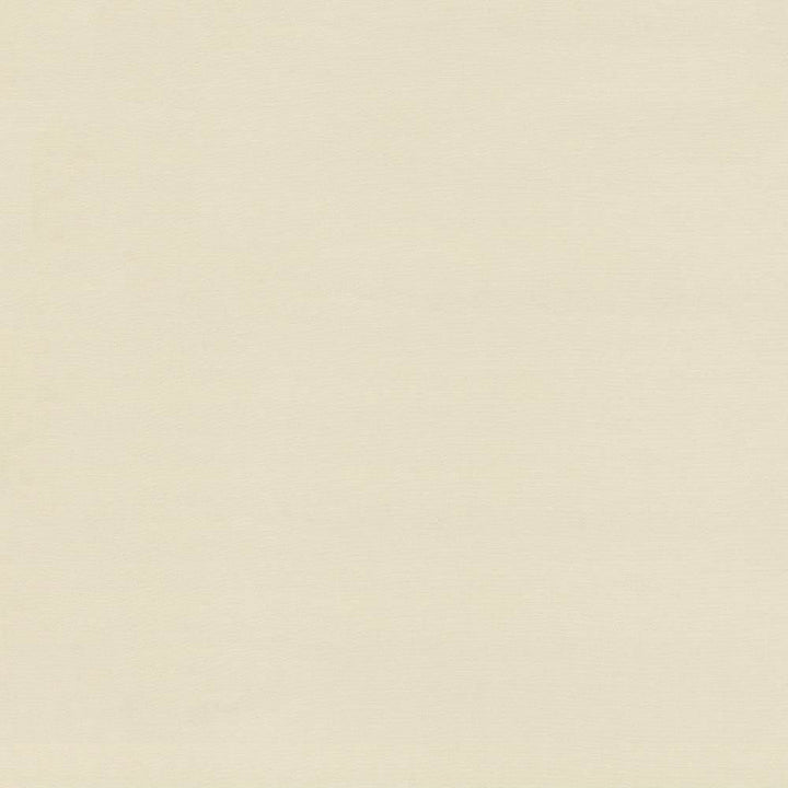Savvy Marble by Kasmir Fabric 5022 100% Cotton INDIA 10,000 Wyzenbeek Double Rubs Horizontal: 0 Inches and Vertical: 0 Inches 54 - 55 - Fabric Carolina -