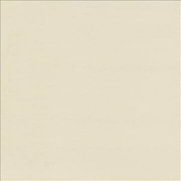 Savvy Marble by Kasmir Fabric 5022 100% Cotton INDIA 10,000 Wyzenbeek Double Rubs H: N/A, V: N/A 54 - 55 - Fabric Carolina - Kasmir