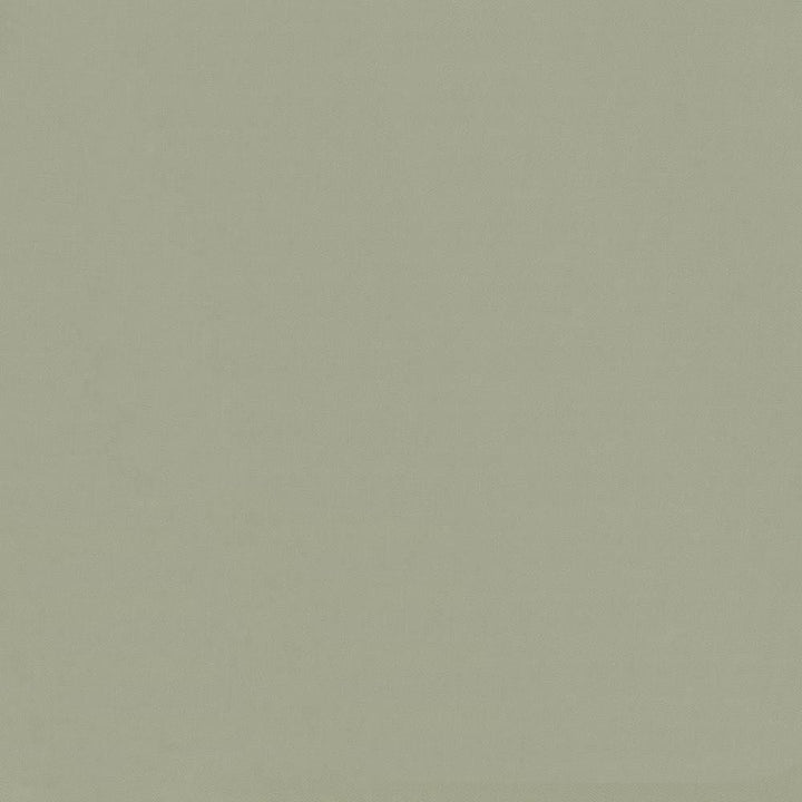Savvy Mineral by Kasmir Fabric 5022 100% Cotton
 INDIA 10,000 Wyzenbeek Double Rubs </p><p>Repeat: Horizontal: N/A and Vertical: N/A 54 - Fabric Carolina -