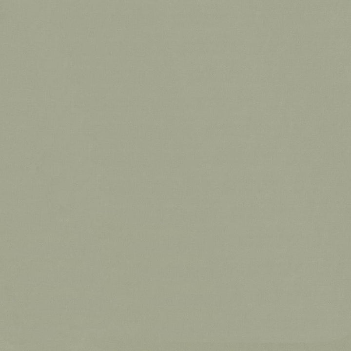 Savvy Mineral by Kasmir Fabric 5022 INDIA 10,000 Wyzenbeek Double Rubs H: N/A, V:N/A 54 - 55 - Fabric Carolina - Kasmir