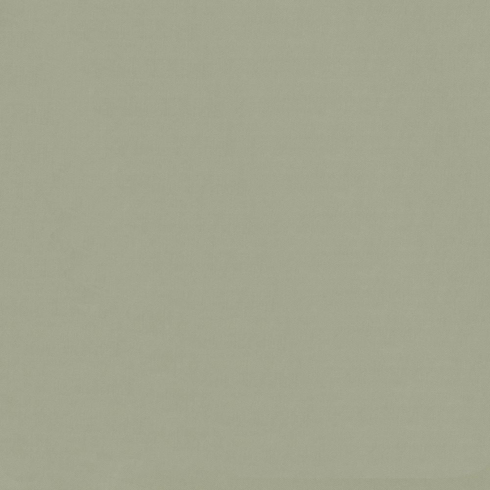 Savvy Mineral by Kasmir Fabric 5022 100% Cotton
 INDIA </p><p>Repeat: Horizontal: N/A and Vertical: N/A 54 - 55 - Fabric Carolina -