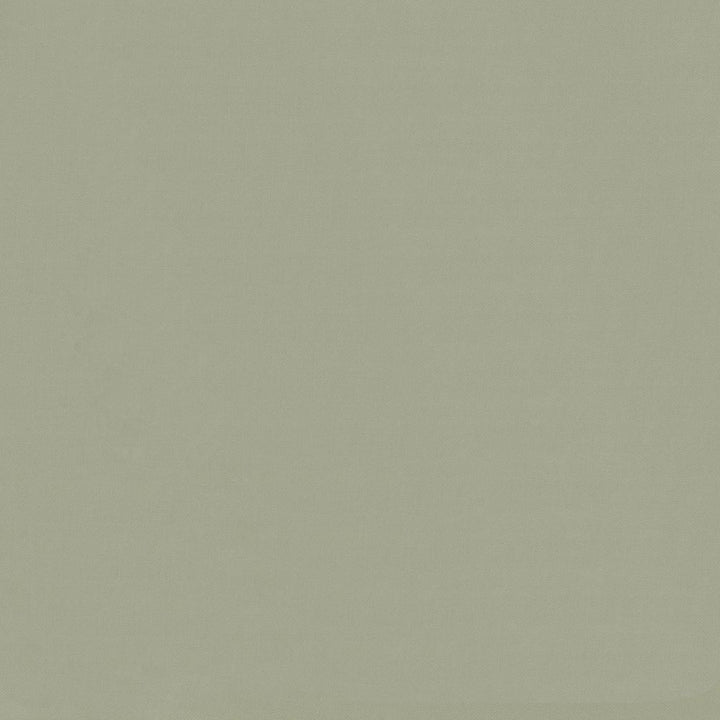 Savvy Mineral by Kasmir Fabric 5022 100% Cotton
 INDIA </p><p>Repeat: Horizontal: N/A and Vertical: N/A 54 - 55 - Fabric Carolina -