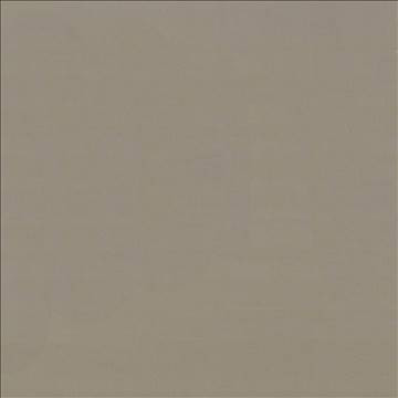 Savvy Pebble by Kasmir Fabric 5022 100% Cotton INDIA 10,000 Wyzenbeek Double Rubs H: N/A, V: N/A 54 - 55 - Fabric Carolina - Kasmir
