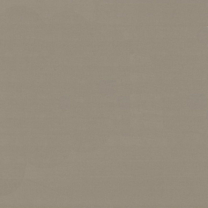 Savvy Pebble by Kasmir Fabric 5022 100% Cotton
 INDIA </p><p>Repeat: Horizontal: N/A and Vertical: N/A 54 - 55 - Fabric Carolina -